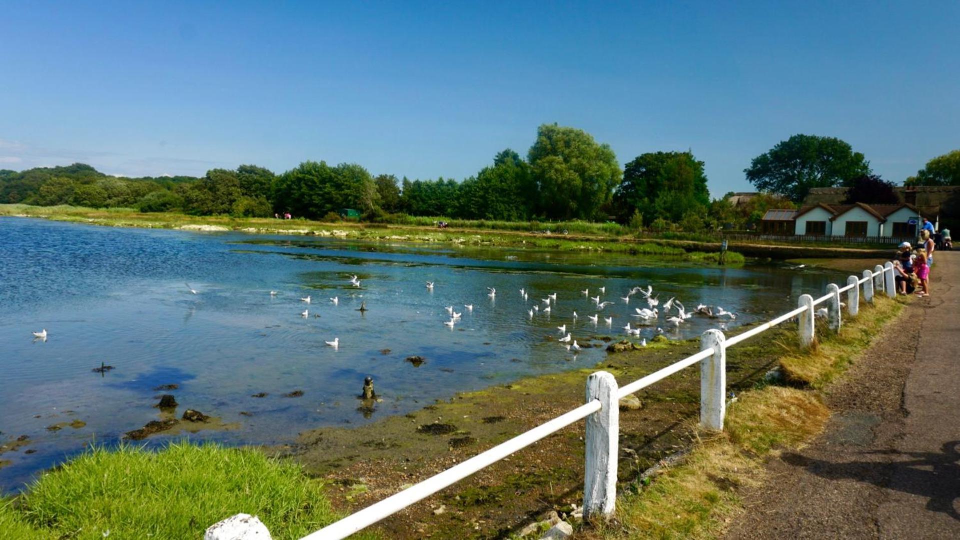 Valley View Self-Catering Coastal Bungalow In Rural West Wight Freshwater Exteriör bild